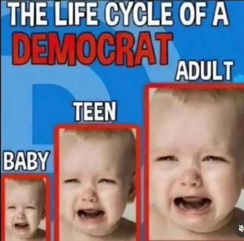 17647574035817670715235818683177_385293027252031