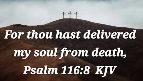 d0cb2625-b02e-4c16-a4a0-80c9fcc5a79a