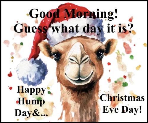 1-Hump Day & Christmas Eve
