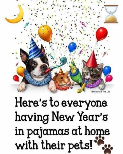 9198f0a092ab1503eec9de0c901b69d8