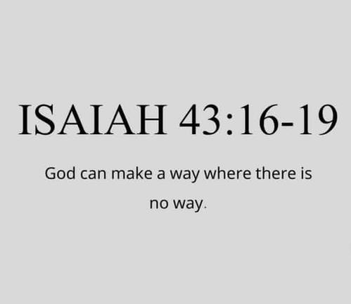 IMG_20251228_112431_616