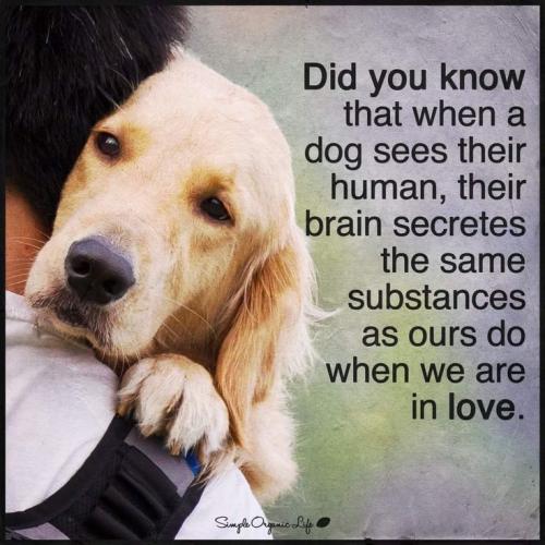 ce862c30398c70966f09d0178077ef80