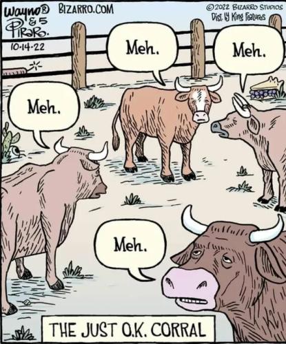 f8fa5ab2e4db31194b4f1020a4906cfb