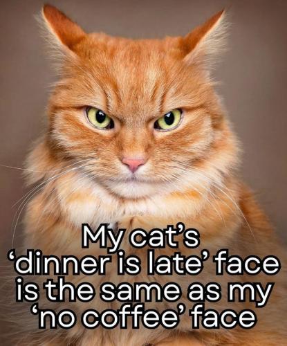 8c66a6ff417b1a4dfb48638795d8144e