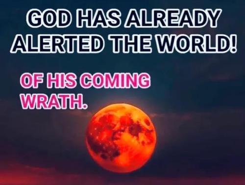 IMG_20251210_105606_811