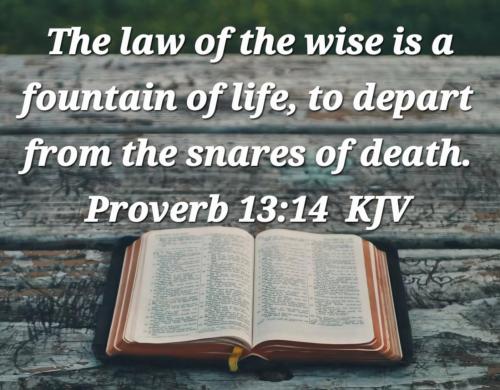 97edf3ac-2e01-4c17-8d72-457f31a9e8dd