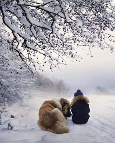 469748026_18474759148047528_9167798475353882679_n