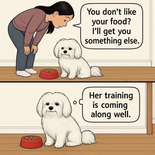 c2ed0fd4551b056d20b57bb869a42a71