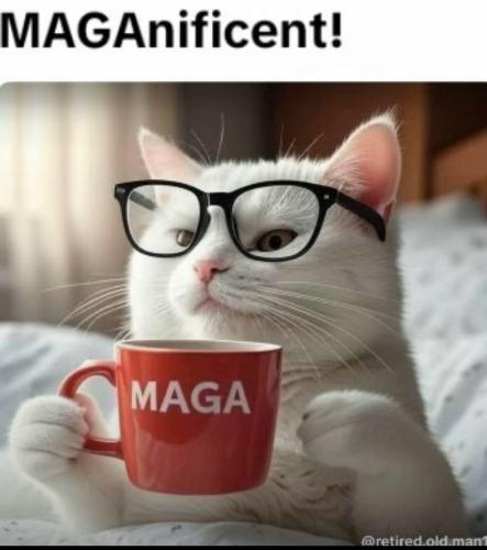 83DCBAC9-FA79-42E5-A335-28896AF618E0