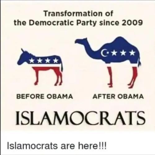 17647571036845964520977799301276_384986376439075(1)