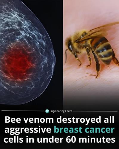 aeb38846-02e6-4d07-bd8e-4a8702ffdb1b