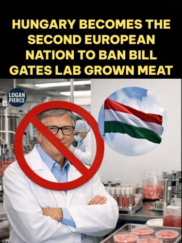 FB_IMG_1766688741017