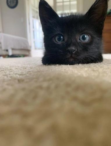 RDT_20251210_190240399282432954956617