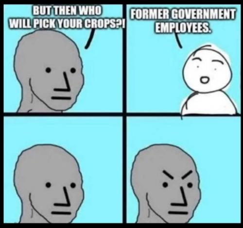 IMG_20251201_062222_238