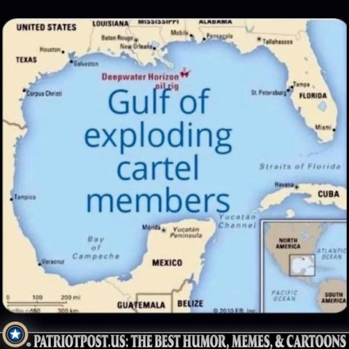 01KBN25RSZCHQDZ4CFN99HVNMK