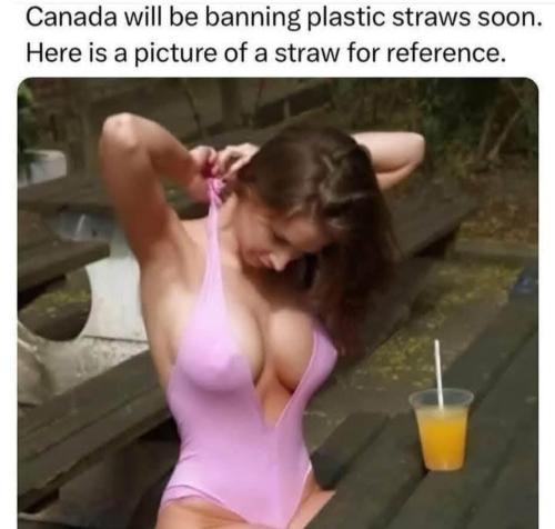 image_7618639F-7A78-40D0-900B-E955FDCE65EE