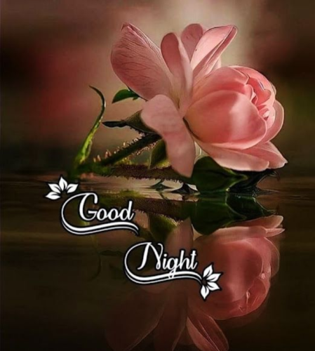 484b4380637cba4b1bb13bc3ad6d2b7d_1024