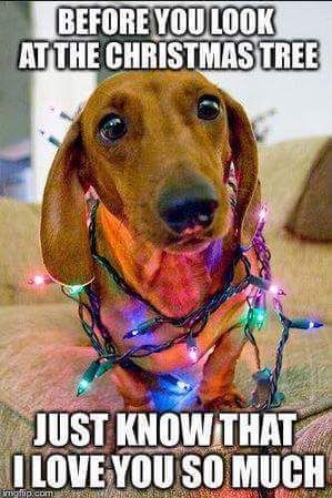 f342480541522700b0c4b1bea29dc3e2