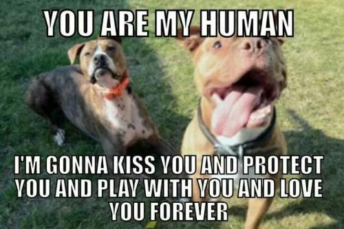 bdfcaf8119f43e22e23e1137d37e9027