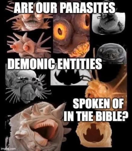 16:11:43 GMT-0600 (CST)