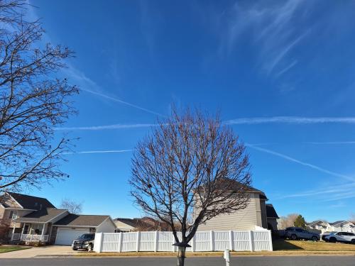 f4994dc8-a1af-4f1c-8af9-420b528577f9