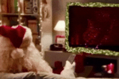 giphy-downsized-medium