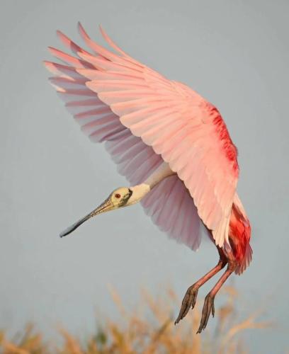 RDT_20251216_1821502770475728923712095