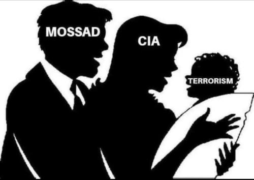 e2fcc24f-f069-49e1-a464-a0351847a0a5