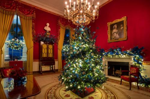 FB_IMG_1764639894398