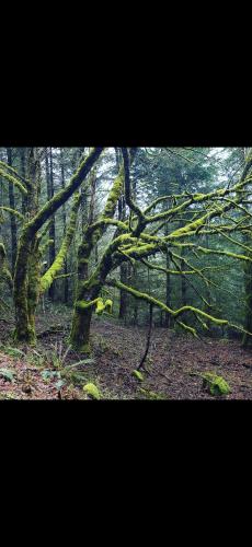 Screenshot_20251210_135438_Photos