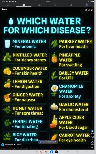 Screenshot_20251122_081633_Facebook