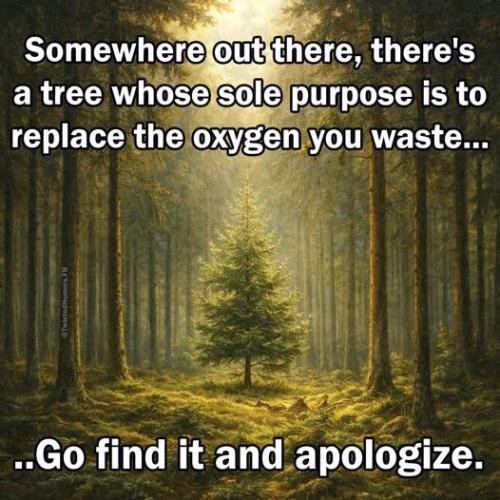 image_45E644C7-CCBE-4AE3-B11A-1950D814259E