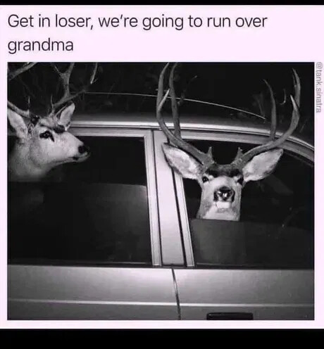 gonna-run-over-grandma