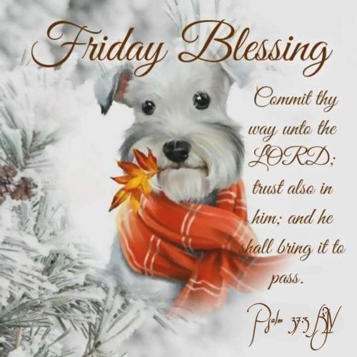 599075433_1456990915783780_7888489646143189864_n