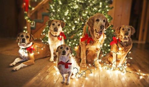 Screenshot_20251225-150117~2