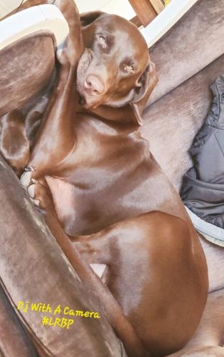 Screenshot_20251207_150433_Gallery