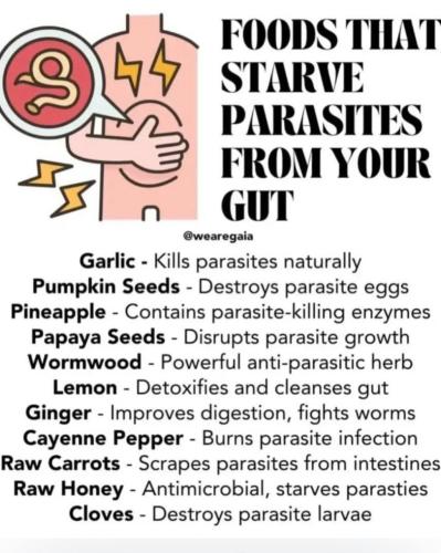 IMG_20251216_172337_321