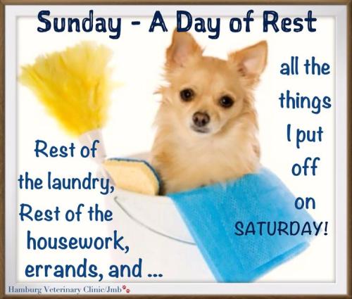 451d3554349f82e8b51a90b2daf61d4f