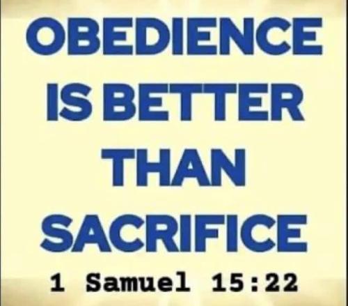 IMG_20251210_105642_619