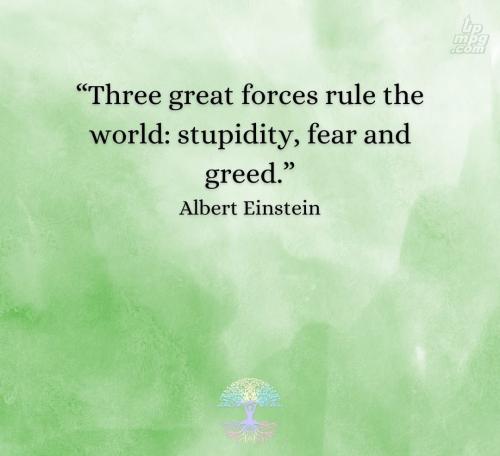 main-qimg-502f278bf72abc3b7e061e2c67acd87e