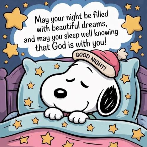 348a8db66b45ceabec973c1a5ee06143