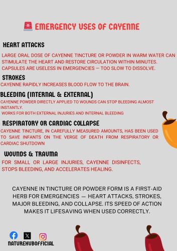 ,          ,  0424775766_746362