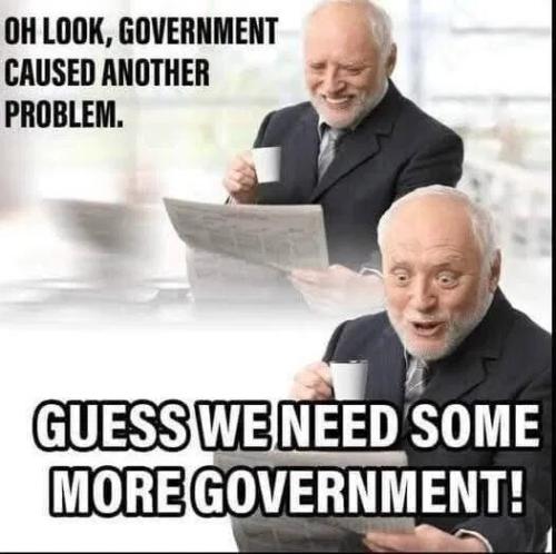 need-more-govt