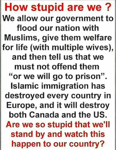 413e5bd3129e7a4286204e0eb3c79dbe_1024