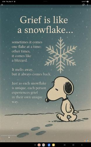 Screenshot_20251211_203403_Facebook