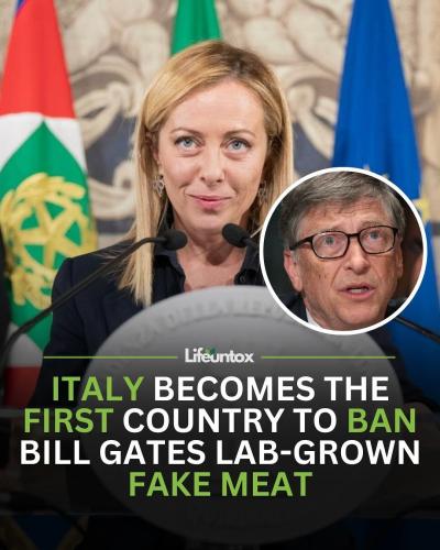 24d16bf4-04af-45a4-b05b-8eeee3cc6a67