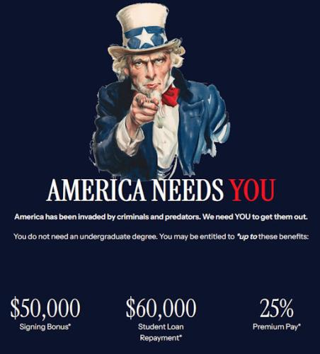 illegal immigration531