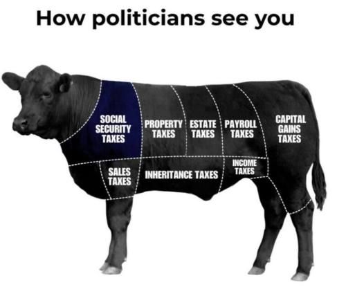 43E7C416-0EFA-4D5F-95C3-E6827D5DD44E