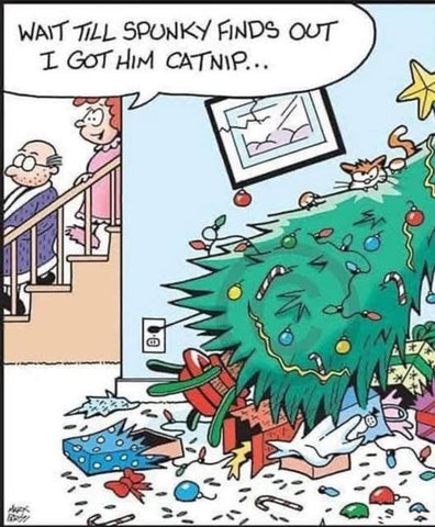 Wait_til_Spunky_finds_out_480x480