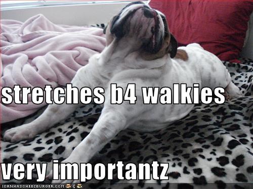stretches-b4-walkies-very-importantz